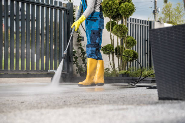 Best Residential Pressure Washing Services  in Riverview, DE