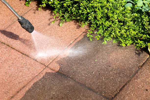 Best Roof Power Washing Services  in Riverview, DE